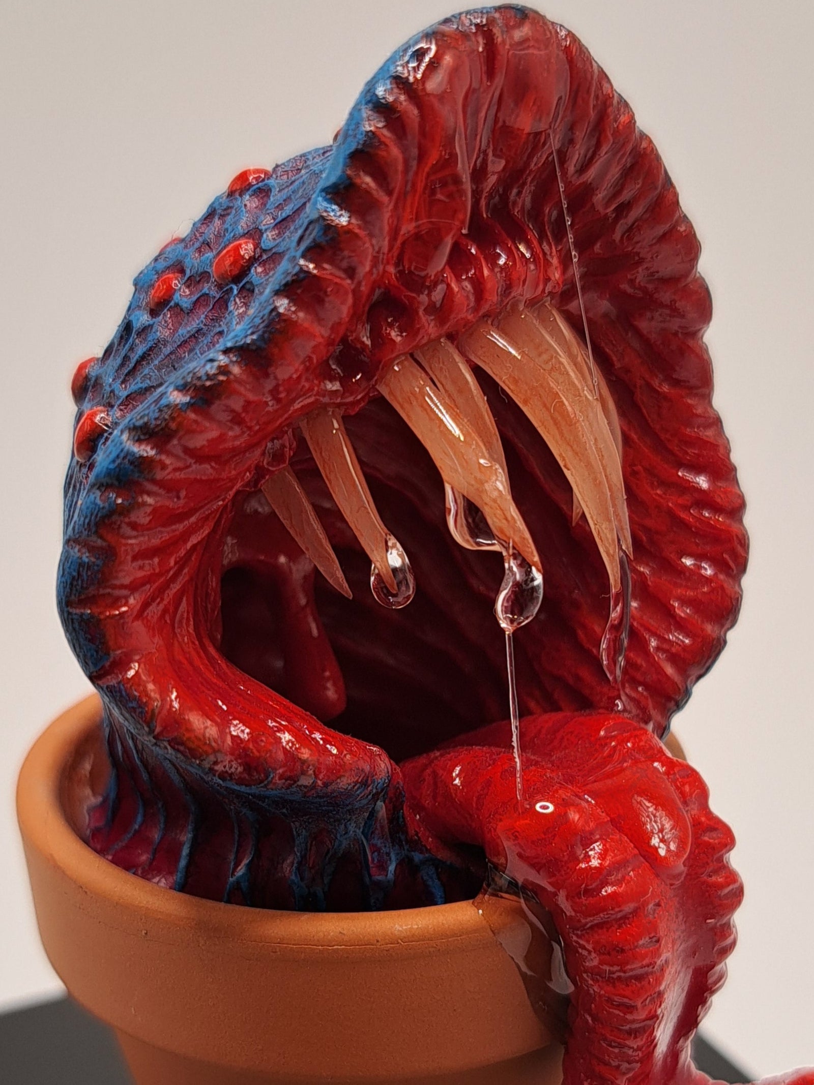 The hollow Maw