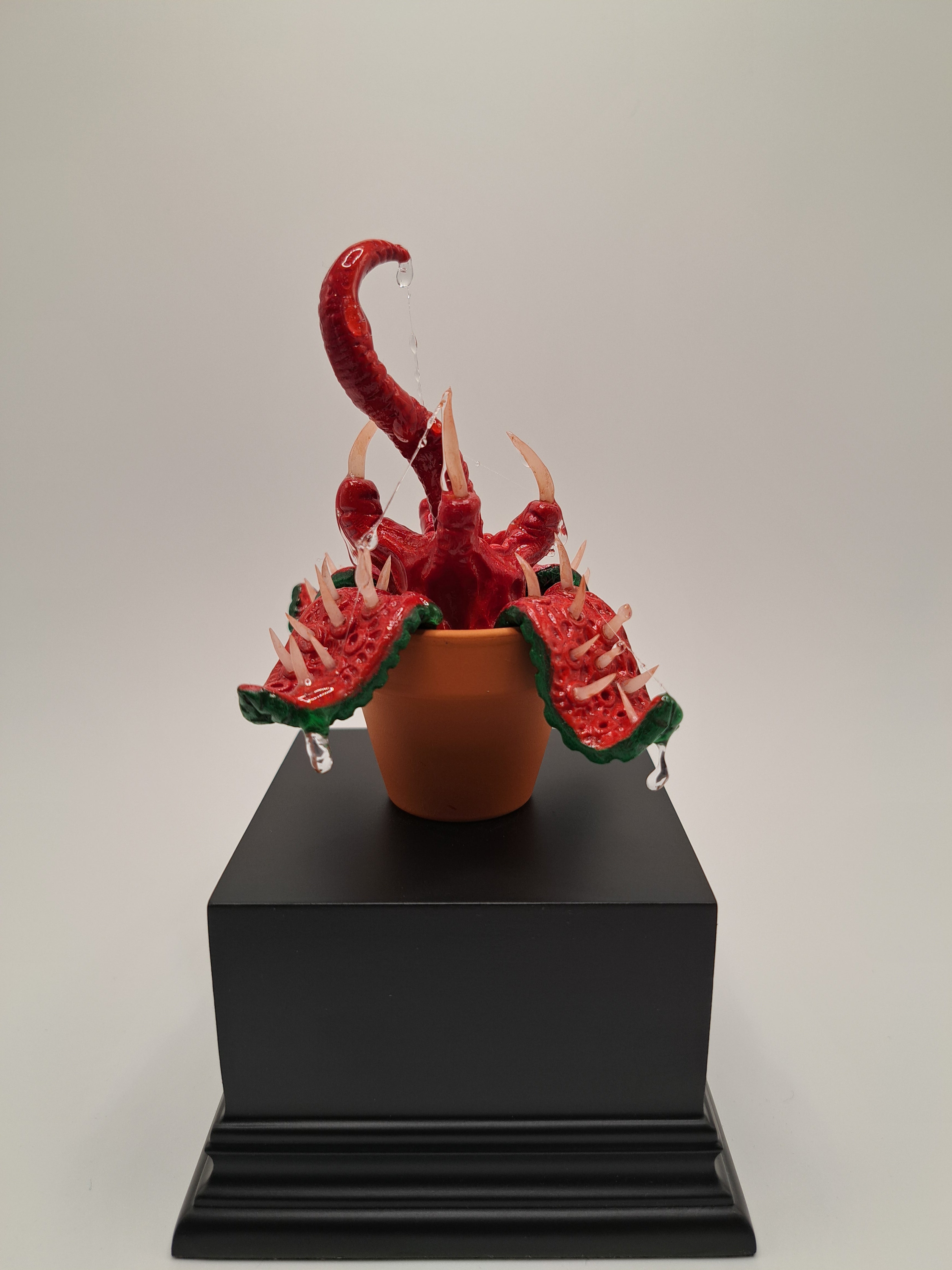 The Everdust Ivy